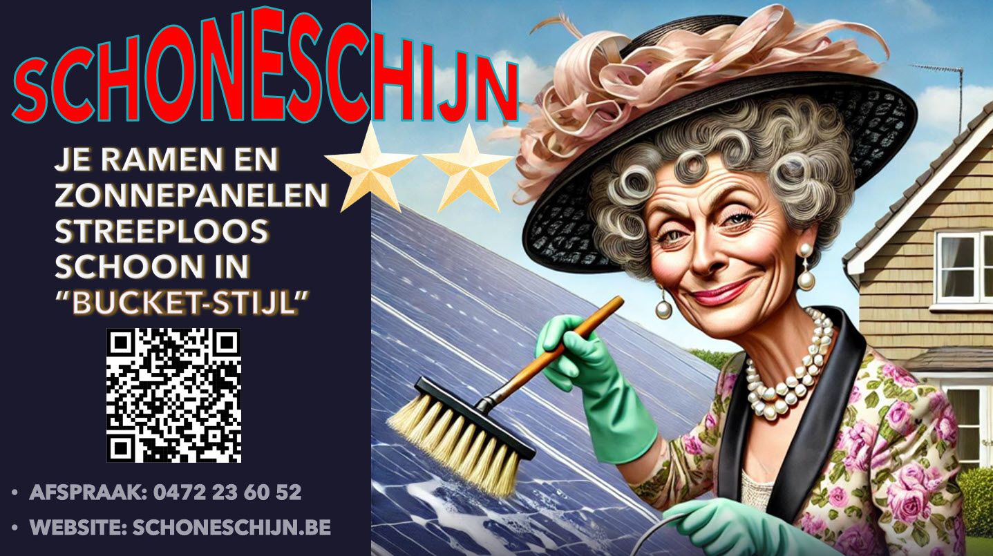 Professionele reiniging van zonnepanelen door Schoneschijn